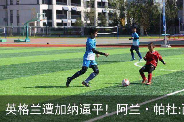 英格兰遭加纳逼平！阿兰·帕杜:面对这种局面 我会很想带上帕尔默